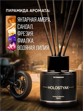 Аромадиффузор для дома с палочками Holostyak 50 мл gen058-1